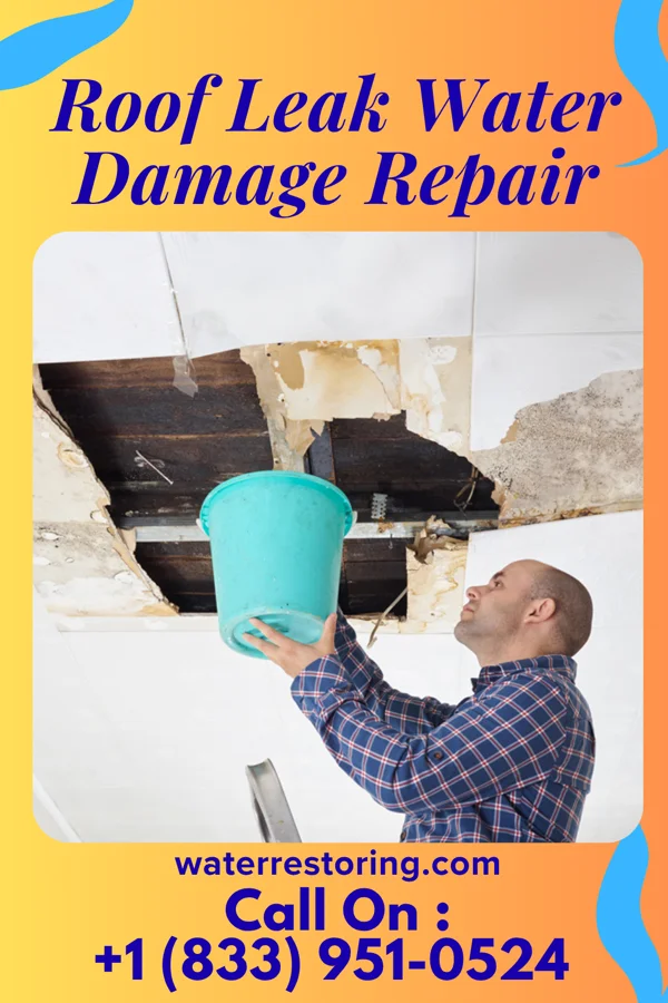 Roof Leak Water Damage Repair in Camp Three, MT